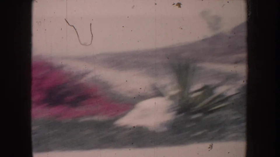 1962 California home-movie frame showing blurred pink flowering shrubs, spiky green vegetation, pale rocks, and visible 8mm gate edges.
