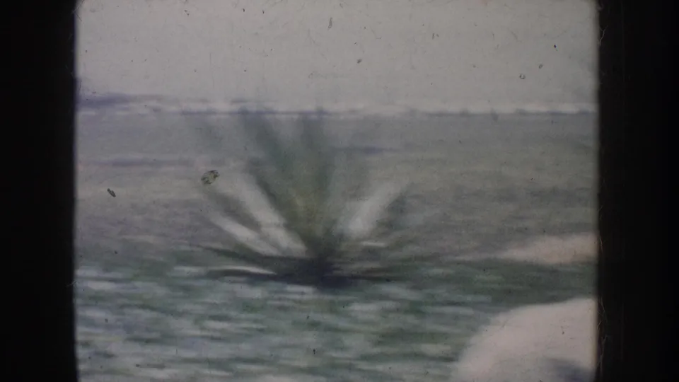1962 California 8mm frame with a spiky green plant, pale rock, low scrub, distant terrain, and dark film edge at right.