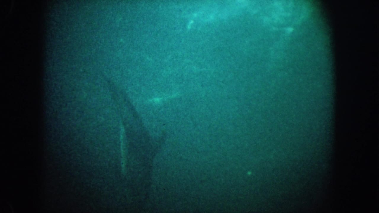 1962 California 8mm underwater frame with grainy green-blue water, dark film edges, and a faint possible marine silhouette.