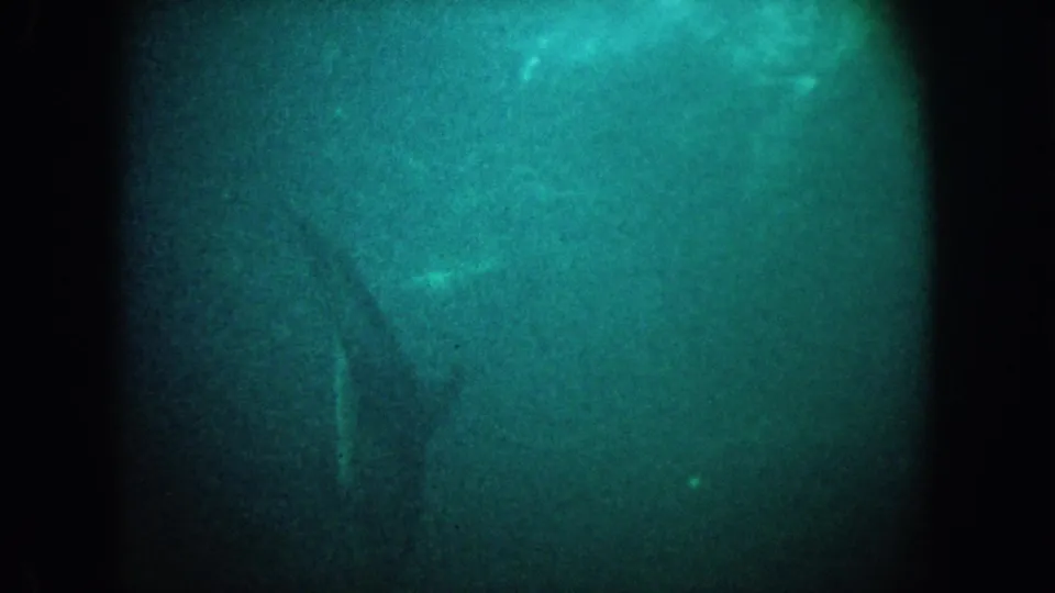 1962 California 8mm underwater frame with grainy green-blue water, dark film edges, and a faint possible marine silhouette.