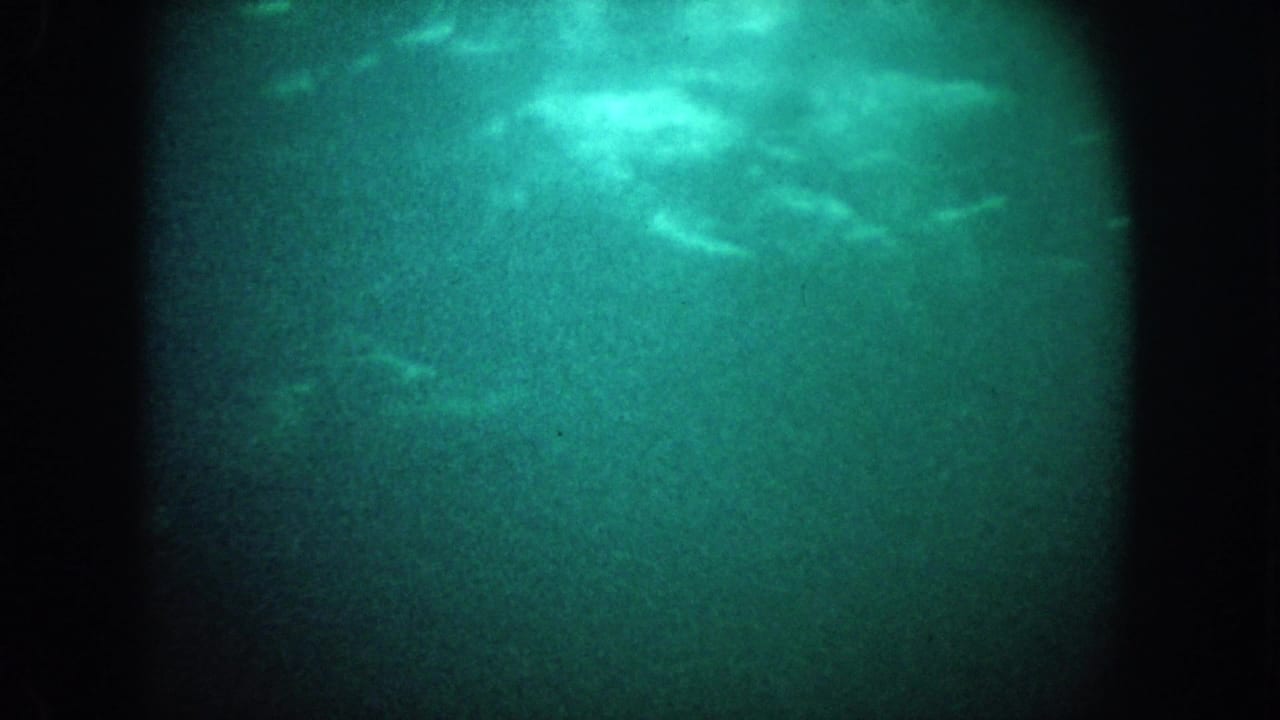 Grainy underwater view with pale streaks near the upper right and dark film borders.