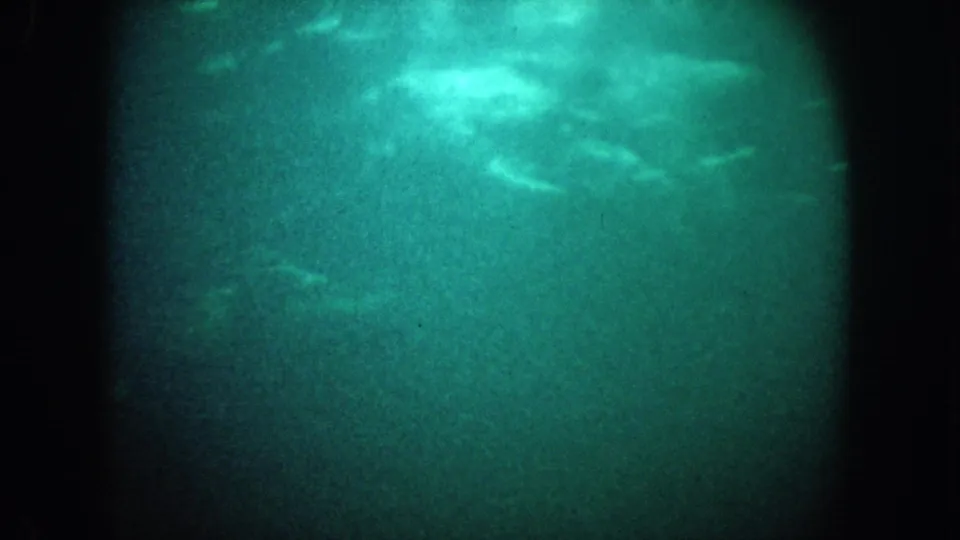 1962 California underwater 8mm frame with pale shapes in murky water, heavy grain, and dark gate edges.