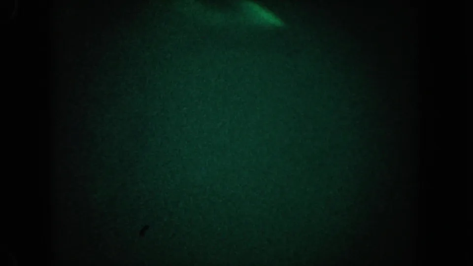 1962 California 8mm frame with a dim green underwater field and a blurred pale form near the upper edge.