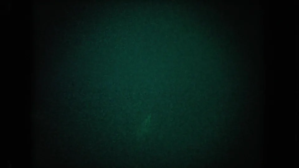 1962 California 8mm frame showing murky green underwater texture with heavy grain and darkened edges.