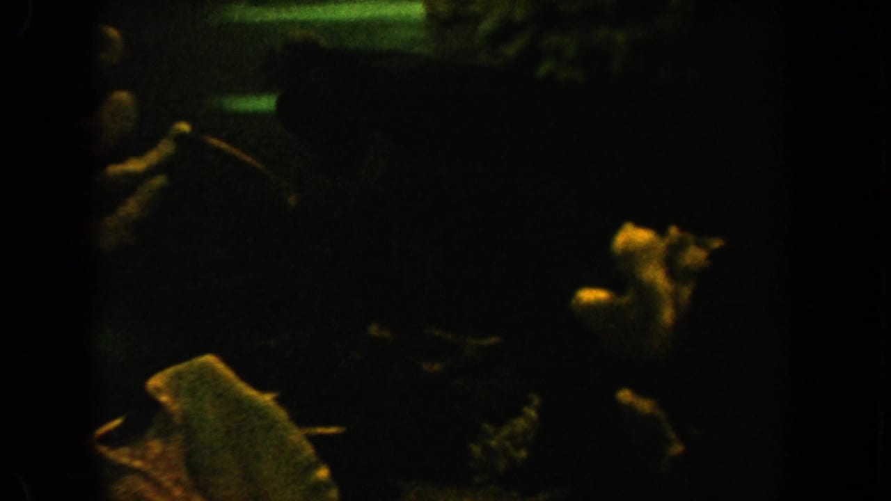 1962 California 8mm aquarium view with obscured fish, coral-like decor, and a pale starfish shape in low light.