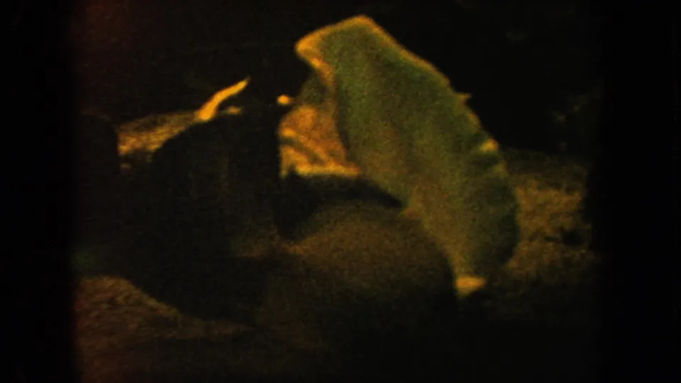 1962 California 8mm frame centered on a pale conch shell resting in aquarium gravel under yellow-green low light.
