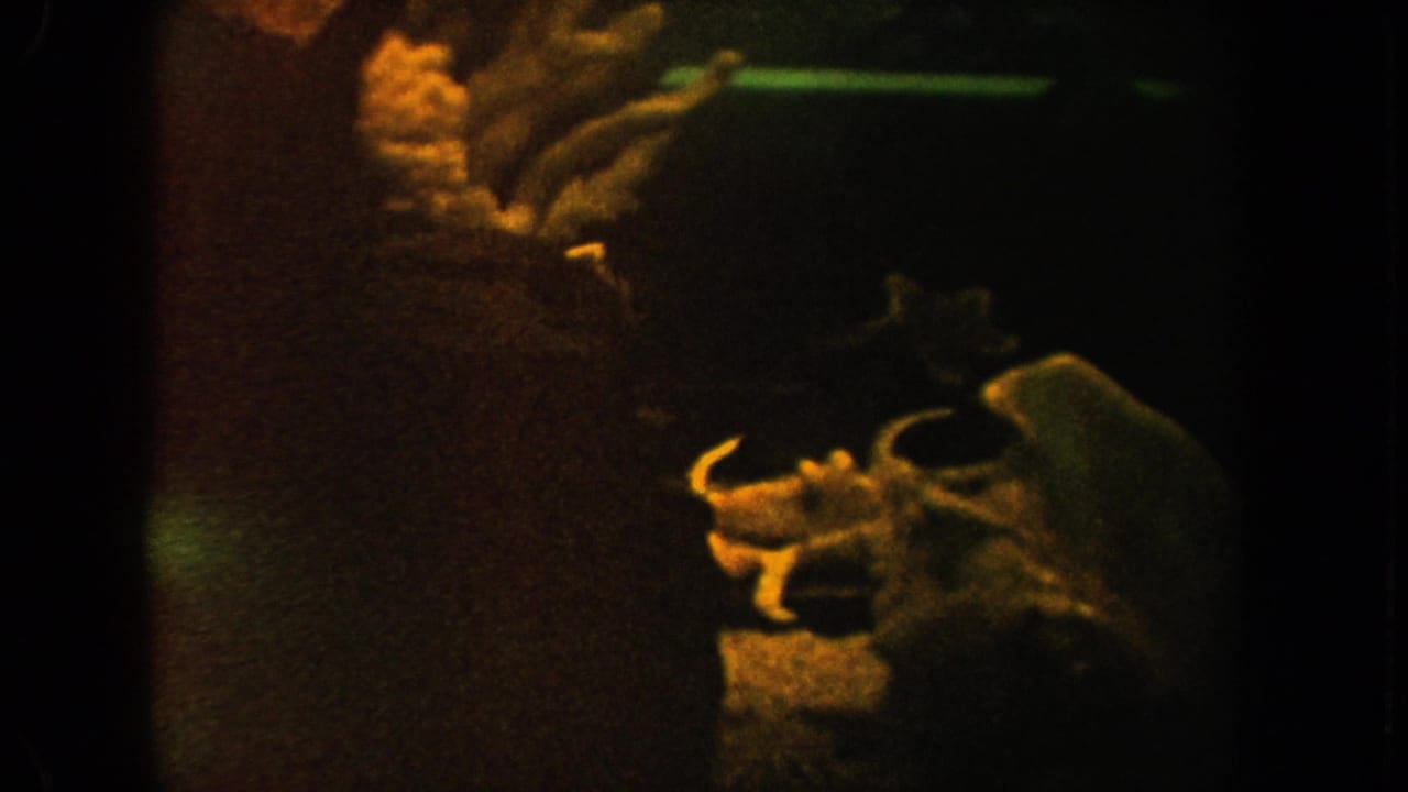 1962 California home-movie aquarium frame with a pale fish at right, dark water, faint reflections, and coral-like display forms.