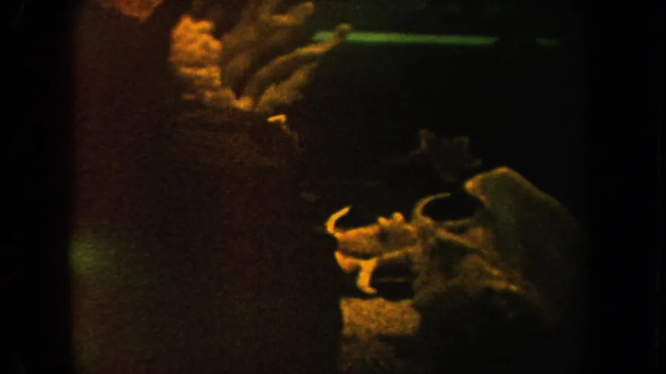 1962 California home-movie aquarium frame with a pale fish at right, dark water, faint reflections, and coral-like display forms.