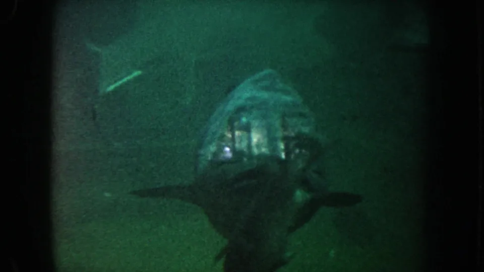 1962 California 8mm frame showing a large fish head-on in dim green-tinted water with film grain and dark borders.