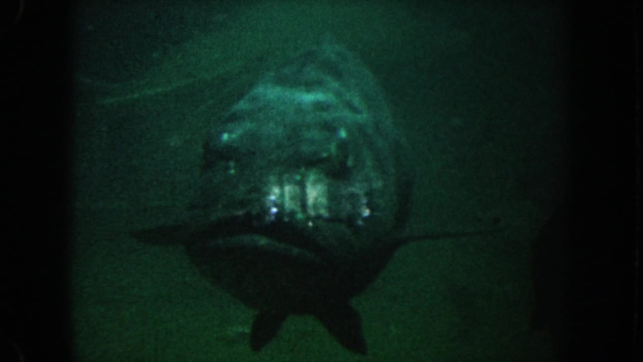 1962 California 8mm still of a large fish centered in green water, with fins and gill area visible through soft low-light exposure.