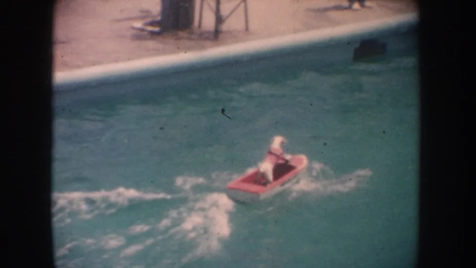 The small red boat continues across the swimming pool with the dog seated inside, seen from an 8mm home-movie viewpoint.