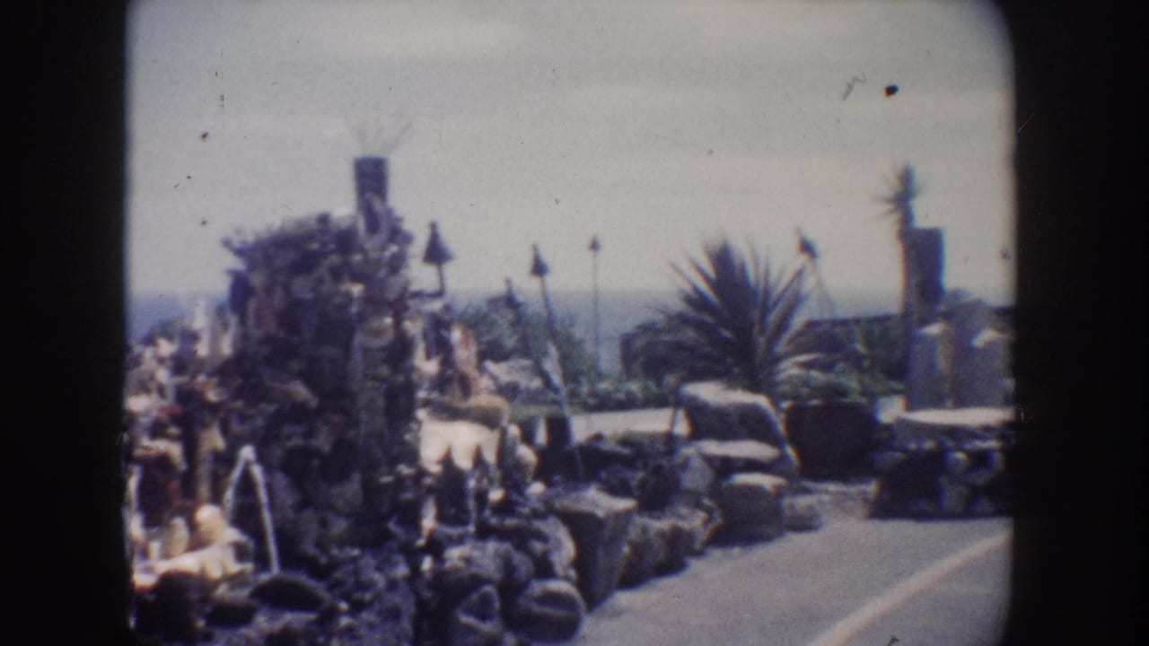 Rock and shell garden feature beside palms and an ocean view.