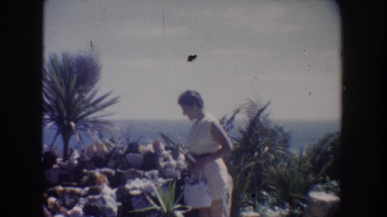 Woman in a light dress stands near coastal plants with the ocean beyond.