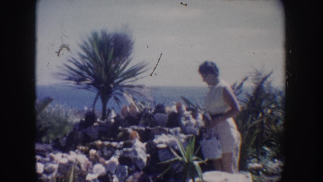Woman stands beside a rocky garden area with ocean and spiky palm-like plant behind her.