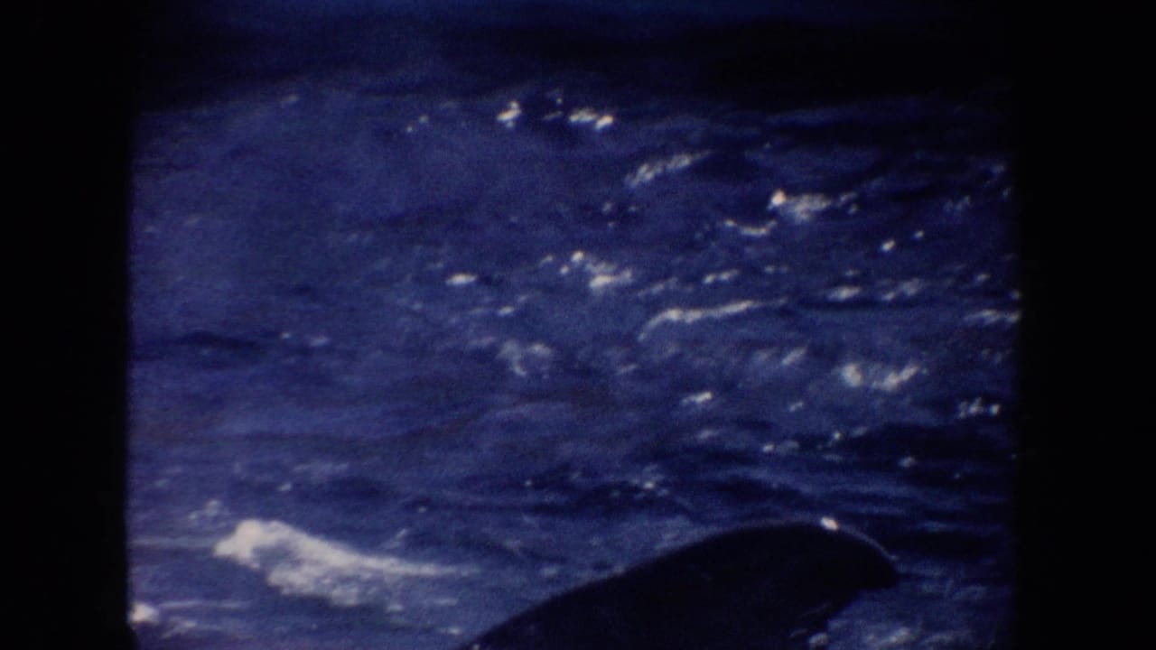 1962 California 8mm frame showing dark blue water and a dolphin-like shape surfacing near white spray.