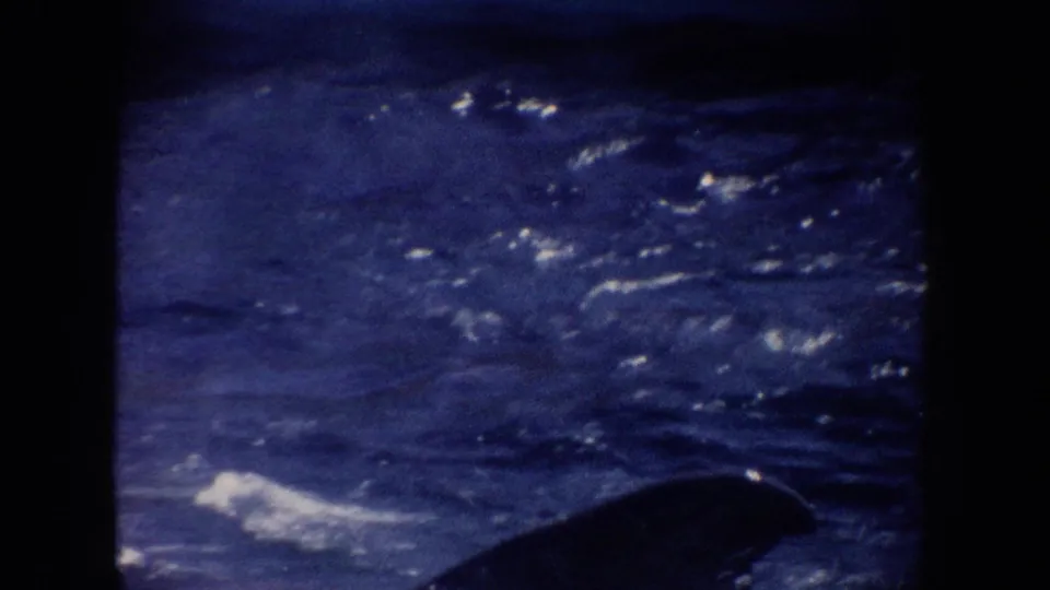 1962 California 8mm frame showing dark blue water and a dolphin-like shape surfacing near white spray.
