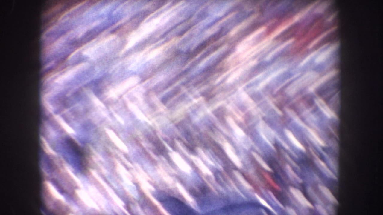 Blurred streaks of bright color and light, likely fast camera motion across a crowd or reflective scene.