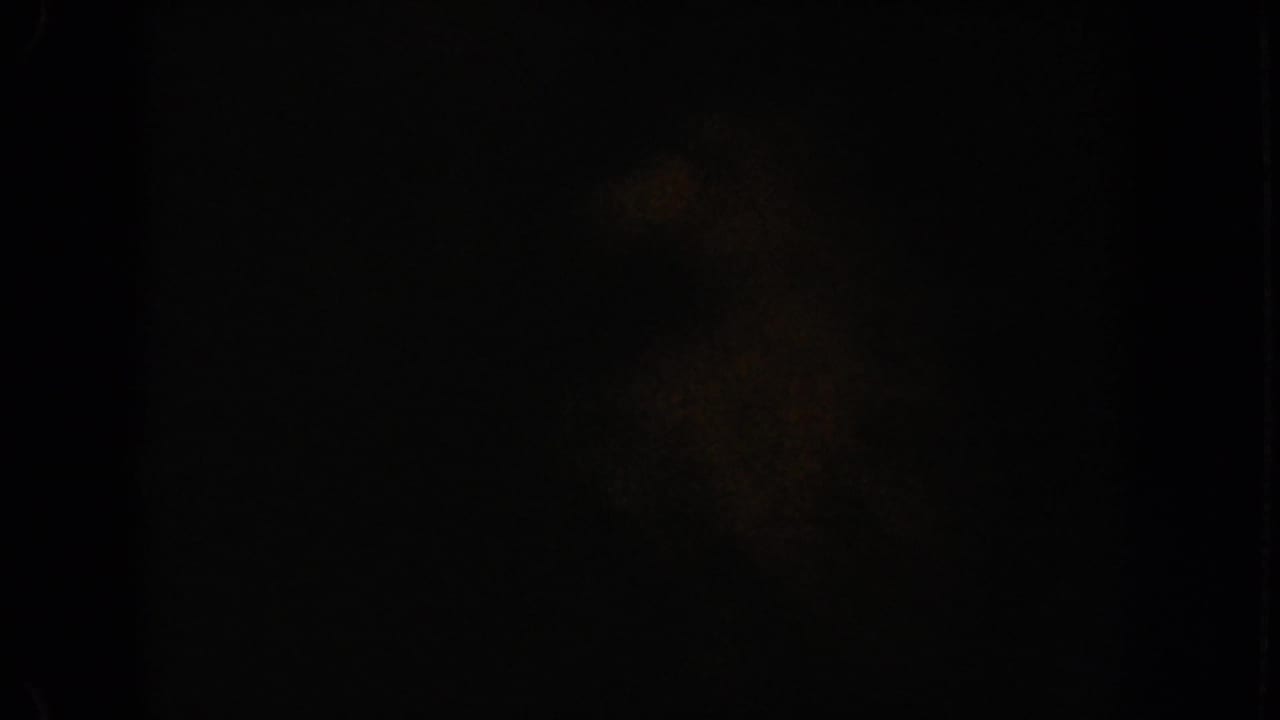 Mostly dark film frame with a partial glimpse of an outdoor animal-show arena at the right edge.