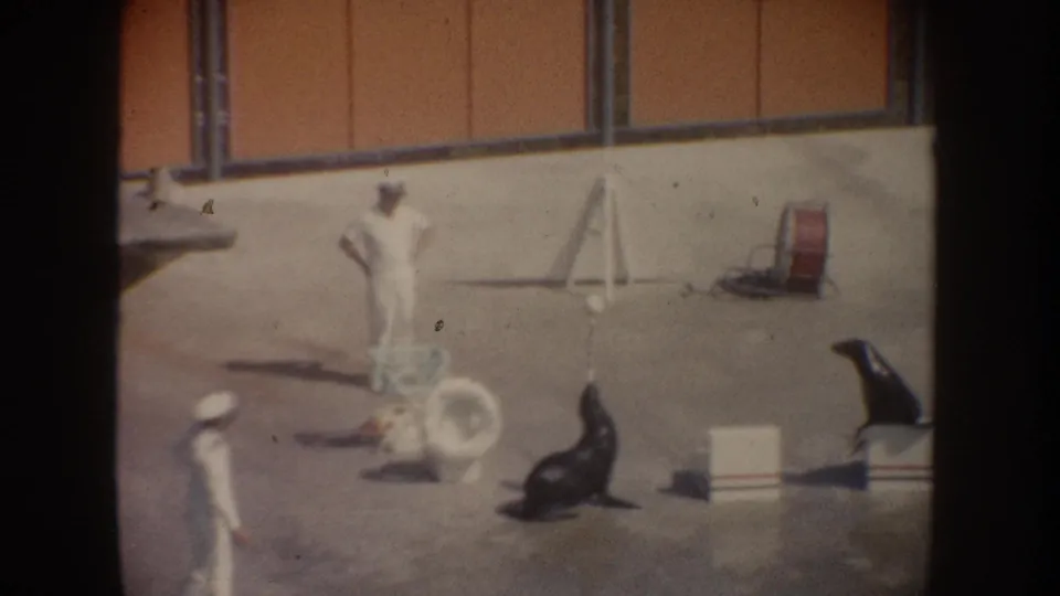 1962 California home-movie footage shows two trainers in white with sea lions, boxes, and performance props in an outdoor arena.