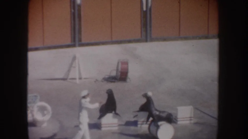 1962 California 8mm frame showing a white-uniformed trainer directing sea lions among platforms and a barrel in a water park arena.