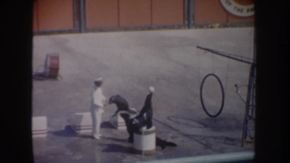 1962 California 8mm frame showing a sea lion act with trainer, hoop prop, boxes, and arena backdrop at a water park.