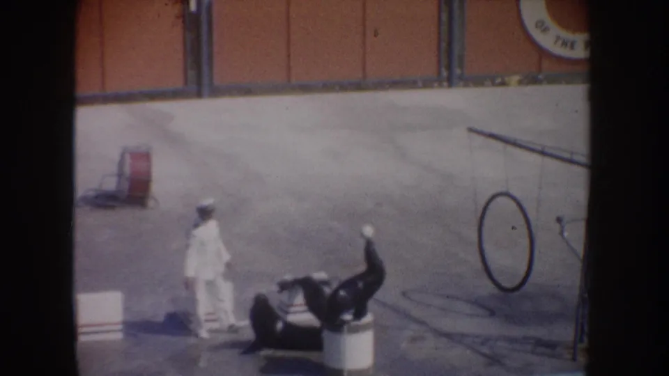 Home-movie view from 1962 California showing a trainer and two sea lions on a concrete marine show platform with ball prop nearby.