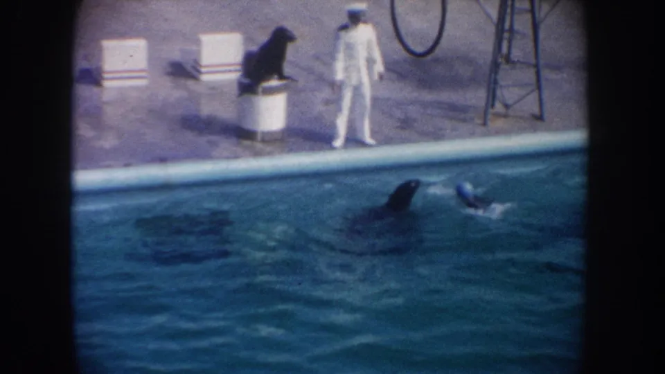 1962 California home-movie frame showing the marine show moving from platform to pool, with sea lions swimming near a ball.
