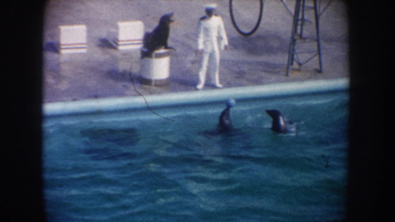 1962 California home-movie frame showing a sea lion on a pedestal, a white-uniformed trainer, and dolphins in a pool.