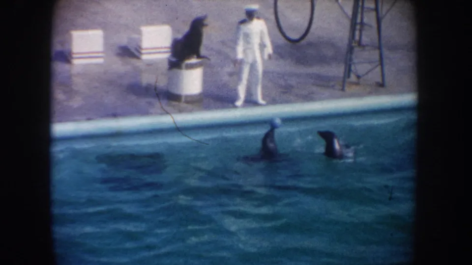 1962 California home-movie frame showing a sea lion on a pedestal, a white-uniformed trainer, and dolphins in a pool.