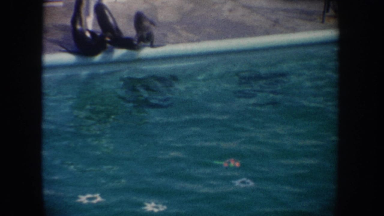 1962 California 8mm frame showing sea lions near a turquoise performance pool with pale edging and star-shaped floor markings.