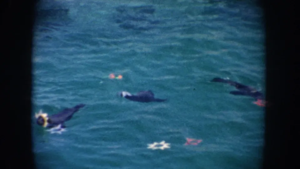 1962 California 8mm frame with several seals in a teal pool, decorative star tiles beneath the water, and dark film borders around the view.