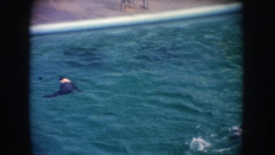 1962 California home-movie frame showing seals in a teal pool near the edge, with star-shaped tiles, ripples, and a small splash visible.
