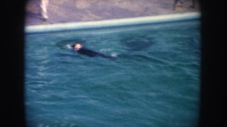 A seal glides across a man-made pool while the concrete deck appears at the top of the 8mm frame.