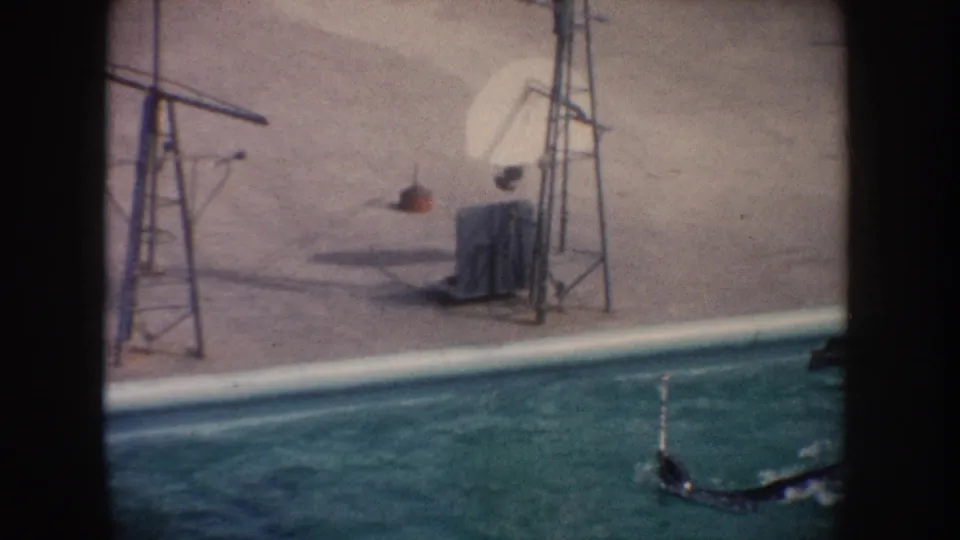 A seal swims along the lower edge of the pool while a distant person in light clothing stands near exhibit equipment.