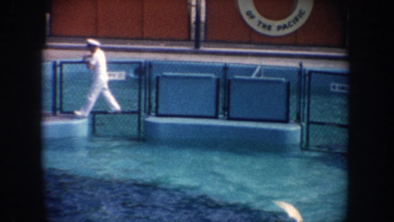 1962 California home-movie frame showing a white-uniformed man at the edge of a turquoise marine park pool as a dolphin surfaces below.