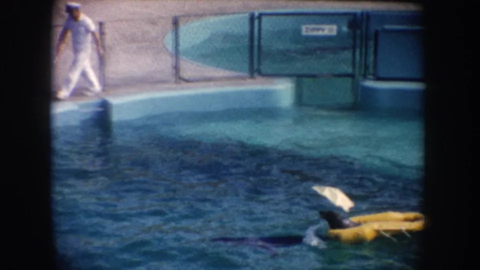 The home-movie frame shows the uniformed man walking by the marine park pool, with a dolphin and yellow float visible in the foreground water.