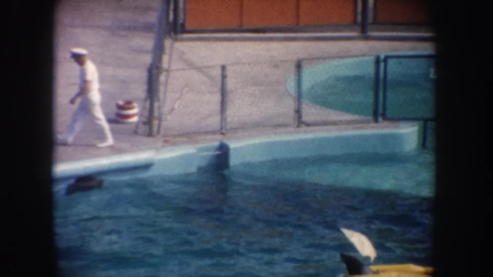 1962 California footage frame with the uniformed man on the walkway, a dolphin in the pool, a yellow float, railings, and partial attraction signage.