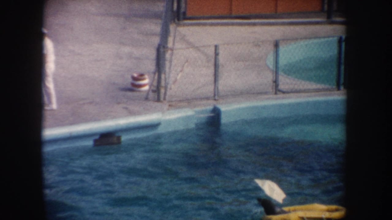1962 California 8mm frame showing a sea lion or similar marine animal pulling a yellow float in a pool near fencing and deck structures.