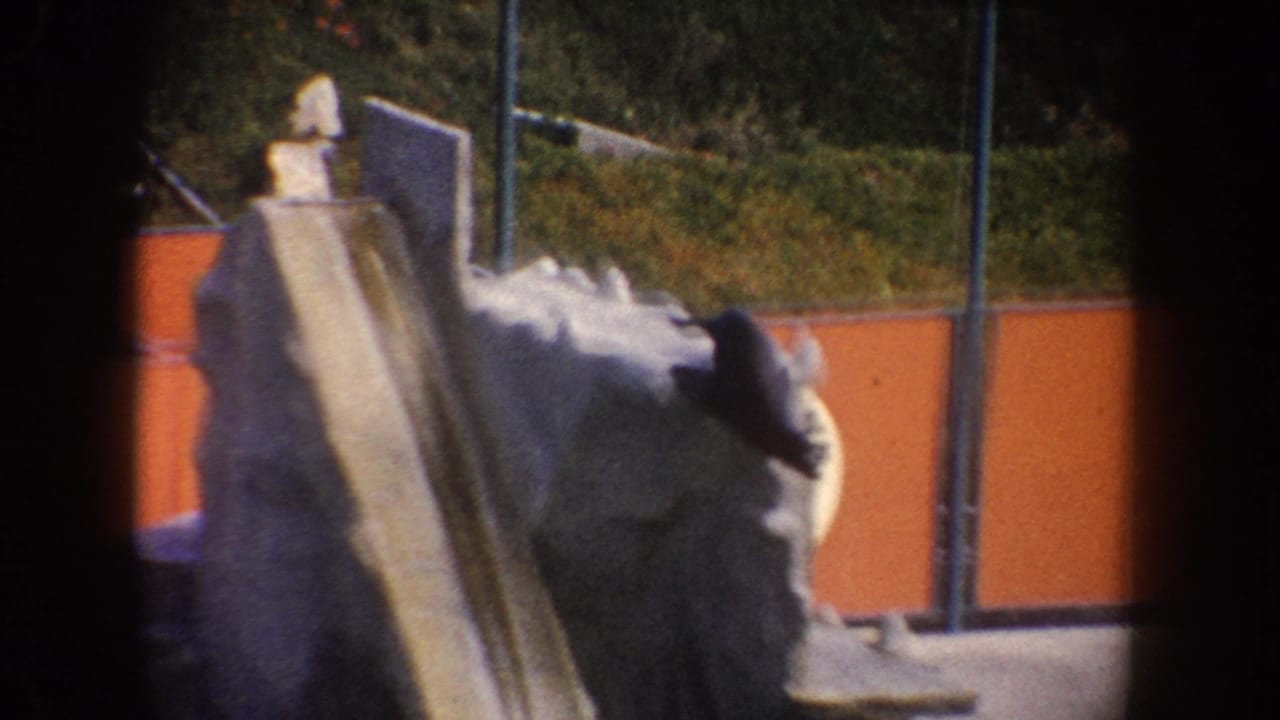 1962 California zoo frame with a seal on or near a slide structure, orange barriers, fencing, and greenery in the background.