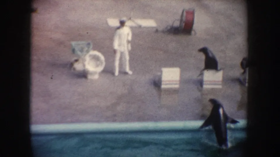 1962 California zoo frame showing a white-uniformed trainer, seals on the deck and pool edge, a slide, and concrete show area.