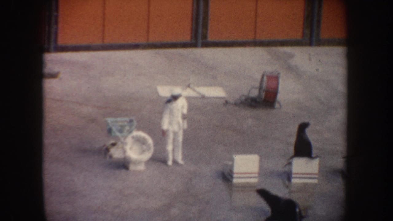 1962 California 8mm frame showing a white-uniformed trainer near sea lions, striped platforms, a toilet prop, and a red barrel in an arena.