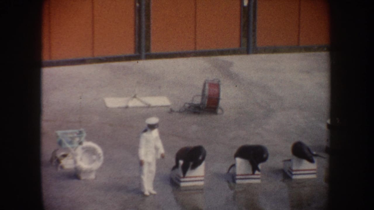 1962 California sea lion performance frame with a trainer in white directing animals on striped stands beside poolside props.