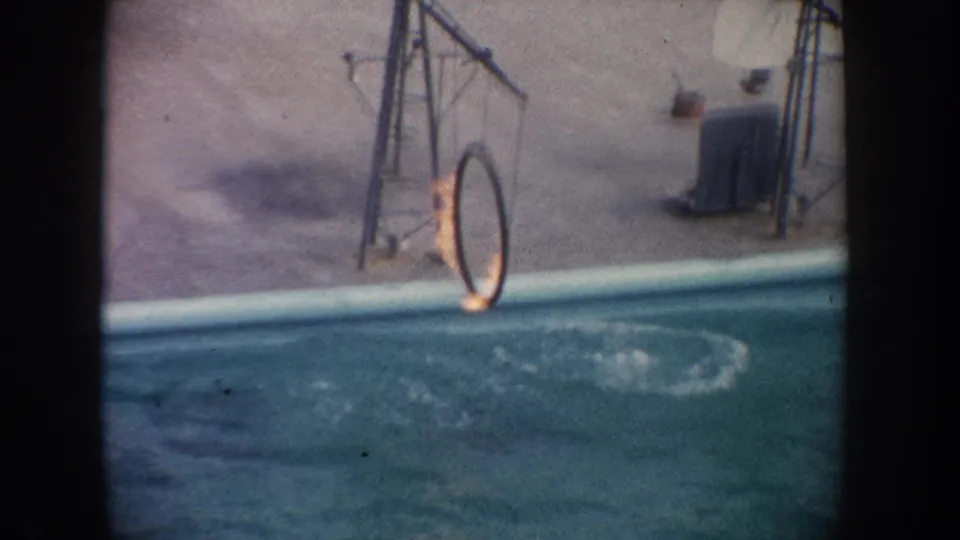 1962 California animal-show frame with a flaming hoop over water and splash patterns after a sea lion jump.