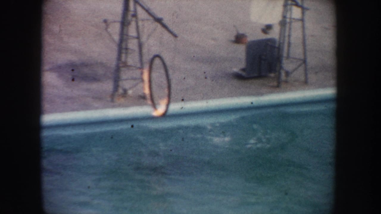 1962 California 8mm frame showing a dolphin pool, flaming hoop, metal rigging, and a light-clothed handler on the deck.