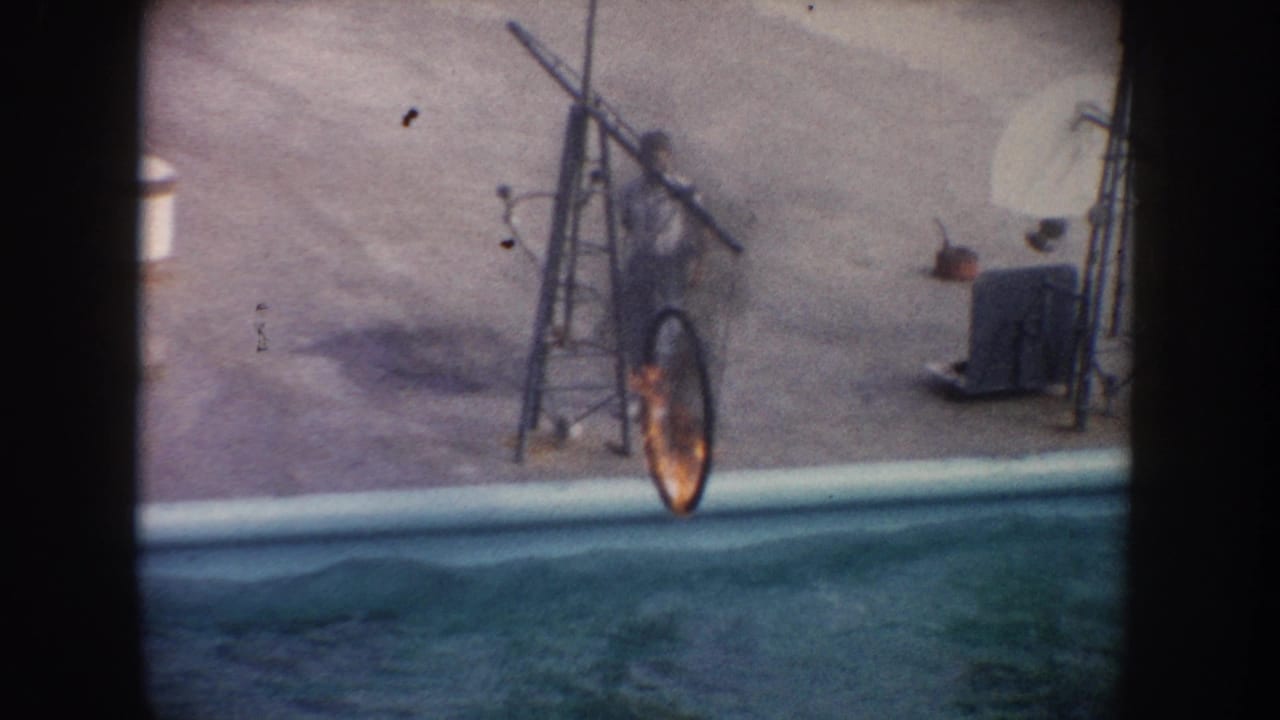 Handler stands by a flaming hoop mounted over the edge of a dolphin pool.
