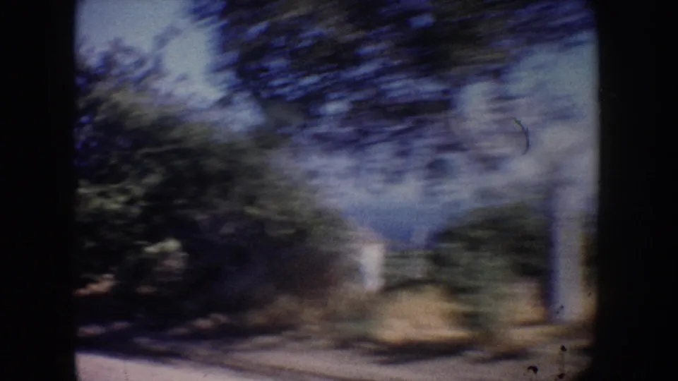 The final frame shifts into motion blur as the vehicle passes trees near the California coast, with sky and roadside vegetation visible.