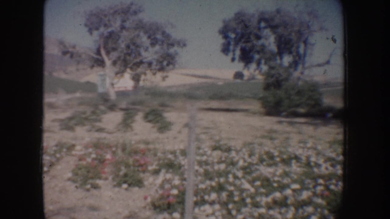 Flower bed and trees with rolling hills in the background.