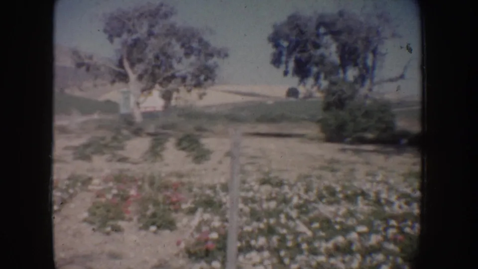 1962 California 8mm frame showing a flower bed, small trees, dry ground, and distant rolling hills under bright sky.