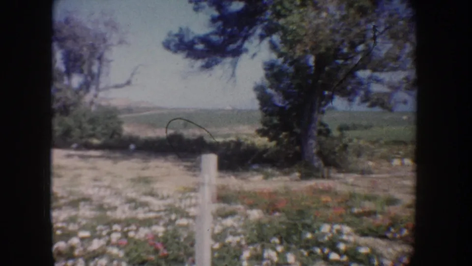 1962 California home-movie frame of a garden edge with flowers, trees, fence posts, fields, and hazy hills in the distance.