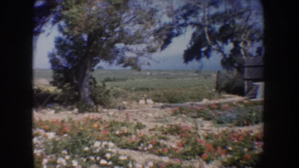 1962 California frame showing a colorful garden, trees, low fence, open fields, and the edge of a small structure at right.